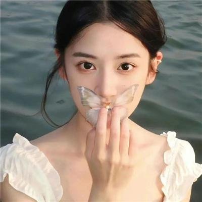 老虎的故事